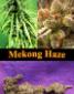 Mekong Haze - click to compare prices