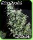 Haze Special - click to compare prices