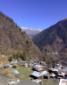 Malana