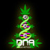 Dna Genetics Seeds