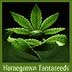 Homegrown Fantaseeds