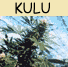 Kulu