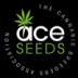 Ace Seeds