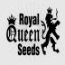 Royal Queen Seeds