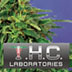 Thc Laboratories