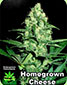 Homegrown Cheese Feminised