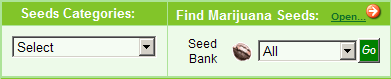 Marijuana Seeds Search